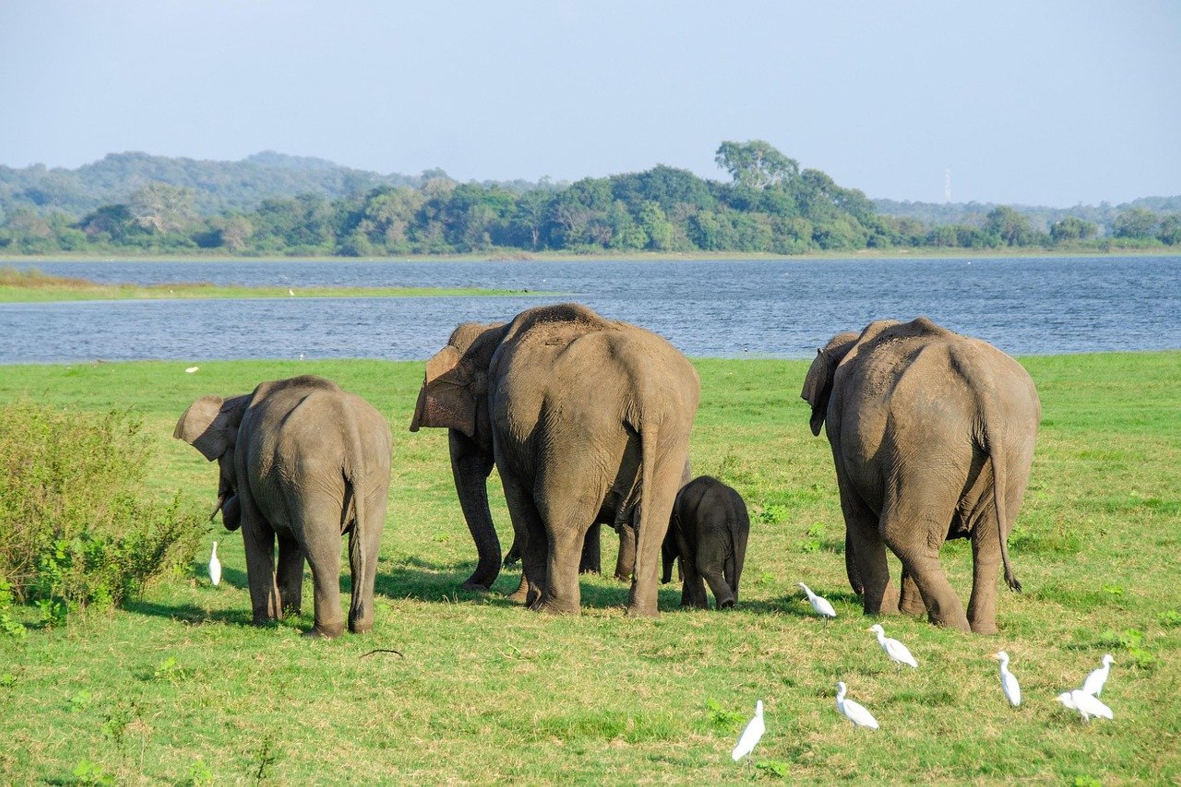 The Grand Sri Lanka Journey